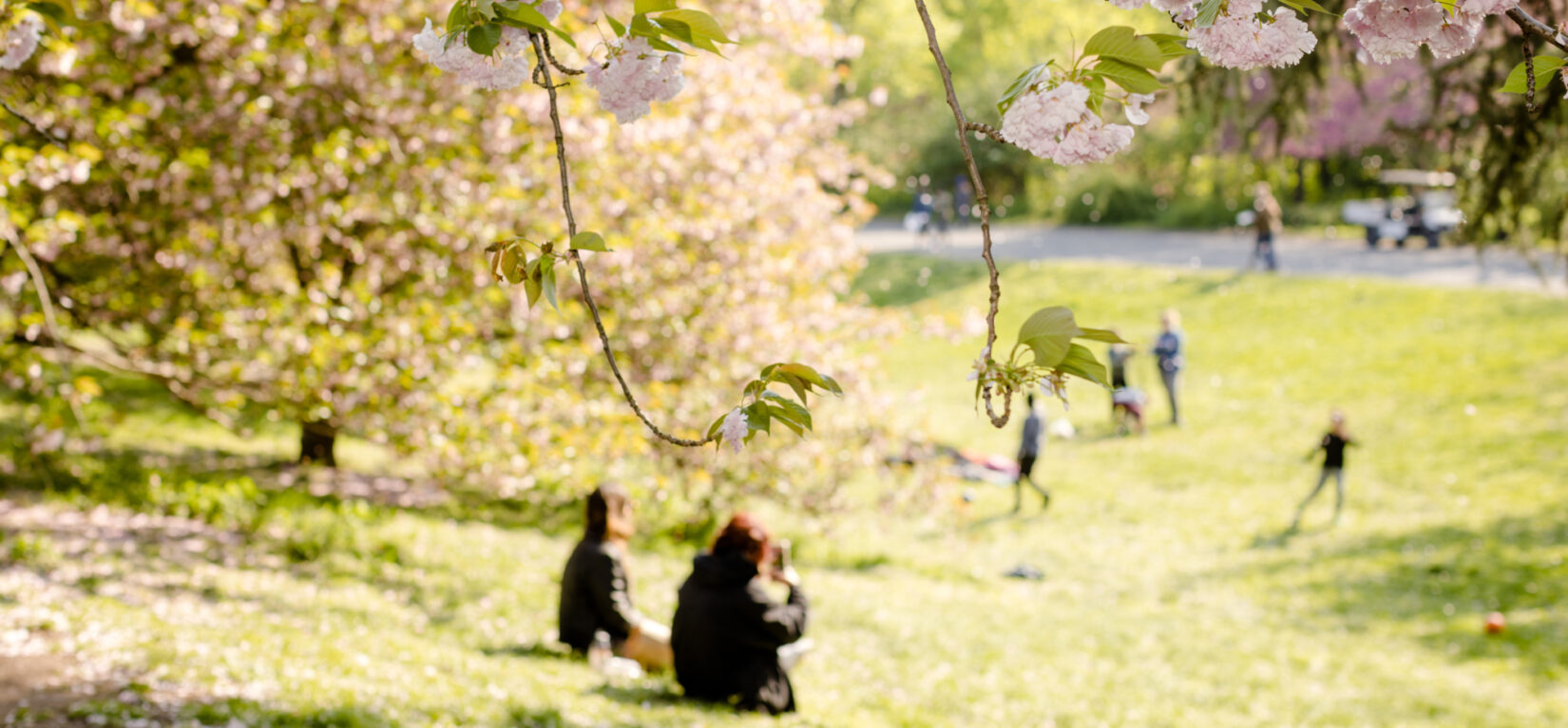 20230426 Celebrate Spring 101
