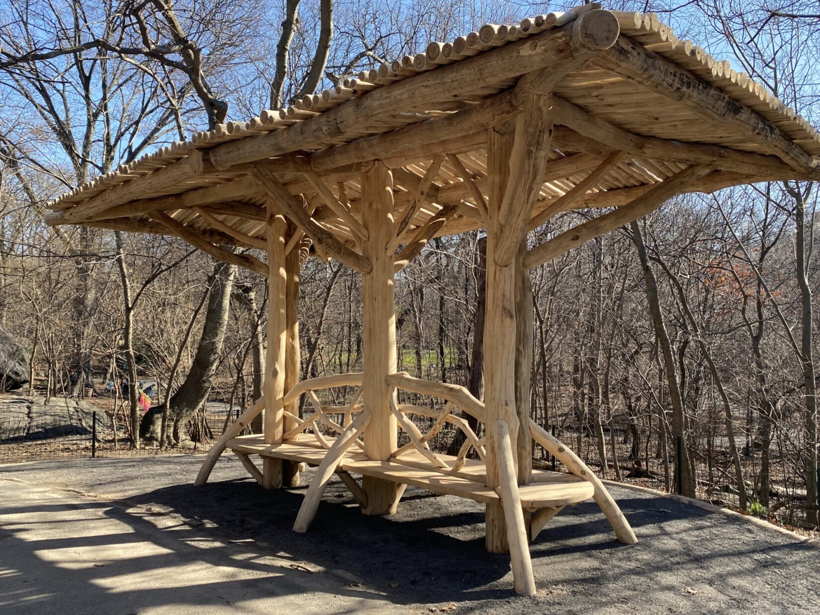 Log Shelter 20240312 Chinea 0079